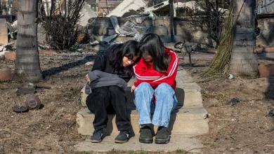 Delayed, underpaid, buried in red tape: California seeks biggest-ever $2 million fine against State Farm over wildfires