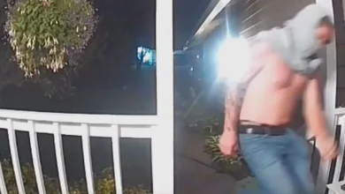 Deputies warn of danger of 'TikTok door kick challenge' after man damages Gig Harbor home