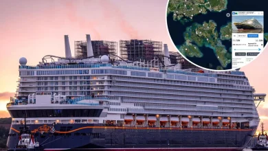 Disney cruise canceled hours after boarding, leaving guests stranded