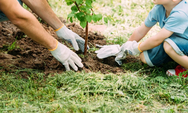 Distribution de plantes et de compost à Mascouche