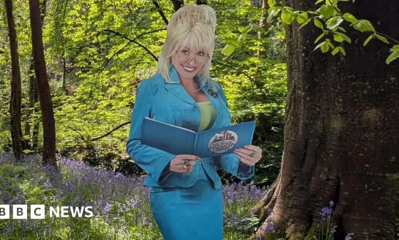 Dolly Parton book scheme to benefit more children