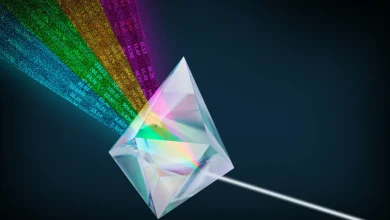 Dossier | Investissement factoriel | Des clés pour battre le marché ? (4 articles)