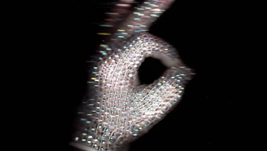 Drake: ICEMAN Album Review | Pitchfork