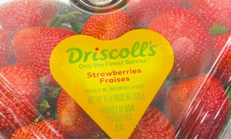 Driscoll’s defends compliance record after pesticide testing report