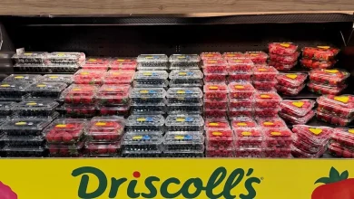 Driscoll’s hits back at critics of its food safety record