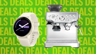 Early Memorial Day Deals on Our Top Smart Bird Feeders, Camera Bags, and More