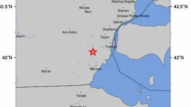 Earthquake hits southeast Michigan today. Did you feel it?