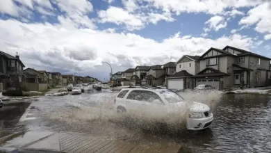 Environment Canada issues rainfall warnings, special statement for B.C., and Alberta