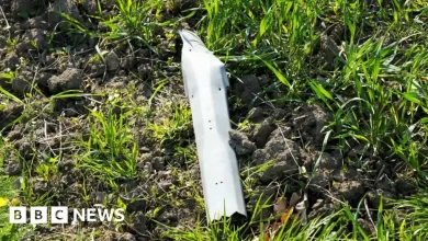 Estonia says Nato jet shot down drone over its territory