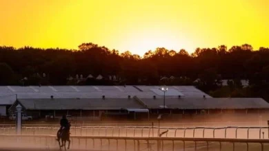 Expert picks: See how HRN writers play Preakness 2026