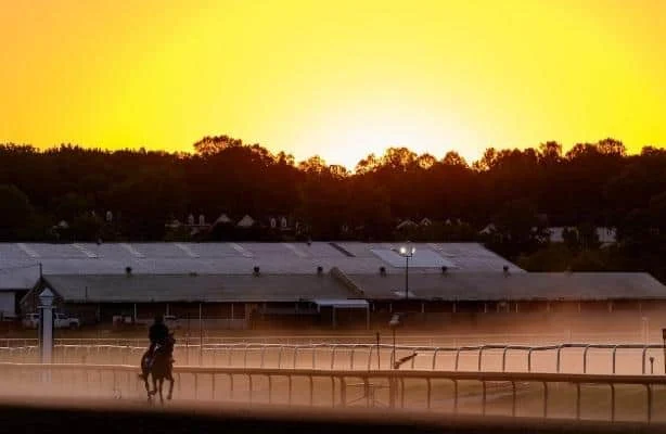 Expert picks: See how HRN writers play Preakness 2026