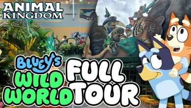 FULL TOUR: Bluey's Wild World Celebrates All Things Bluey at Disney's Animal Kingdom
