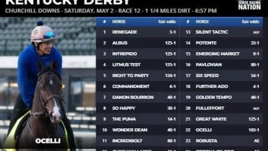 Fair odds: Kentucky Derby has a new value play after scratch