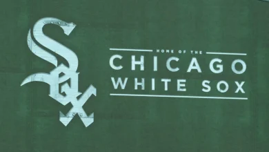Fan at White Sox game hospitalized after fall into visiting bullpen