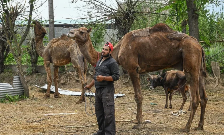 Festive Buzz Returns, But Eid Markets Feel Inflation Pinch