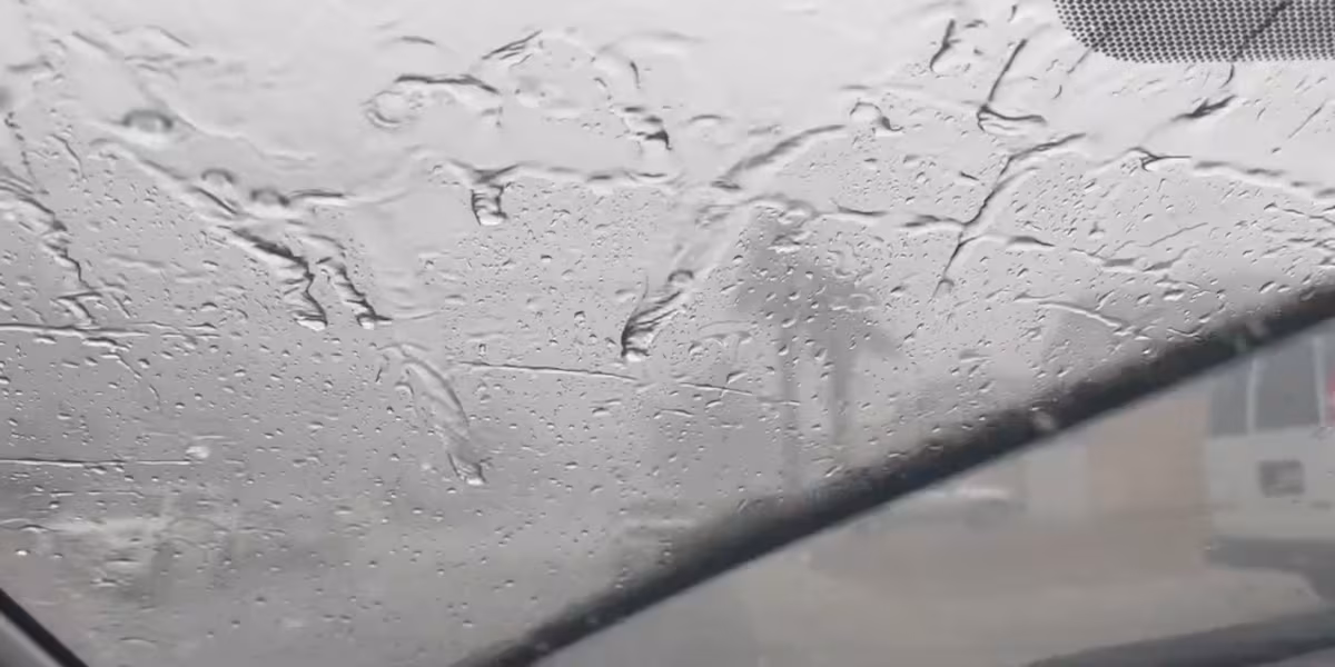 First Alert Weather Day: Widespread rain, storms expected Sunday