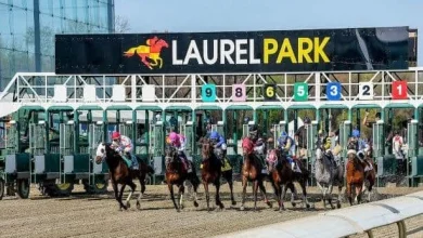 First Look: 7 graded stakes set Preakness week 2026 table