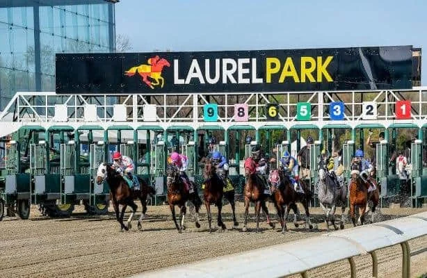 First Look: 7 graded stakes set Preakness week 2026 table