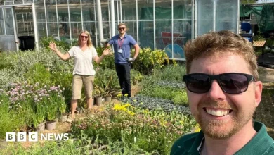 First plants arrive for new Eden Project in Morecambe