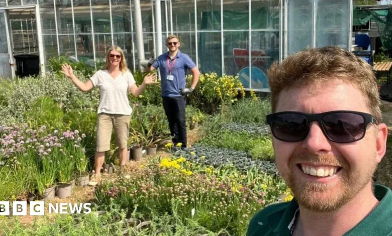 First plants arrive for new Eden Project in Morecambe