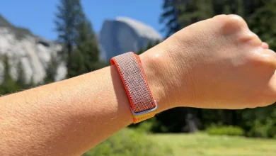 Fitbit Air Review: Is It Really a Smartwatch Killer?