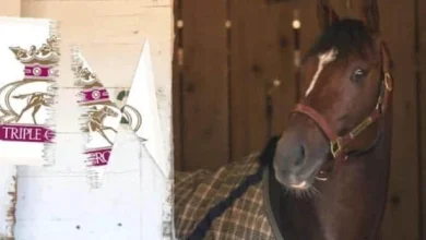 Flatter: Here is a plan to save the Preakness and Triple Crown