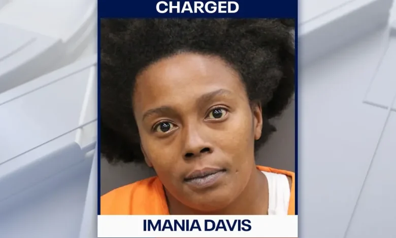 Florida woman charged after disturbing video shows dog being thrown and kicked: HCSO