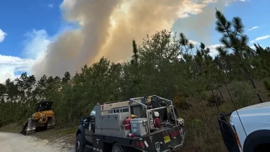 Forest Service, ACFR battling 100-acre wildfire south of Hawthorne