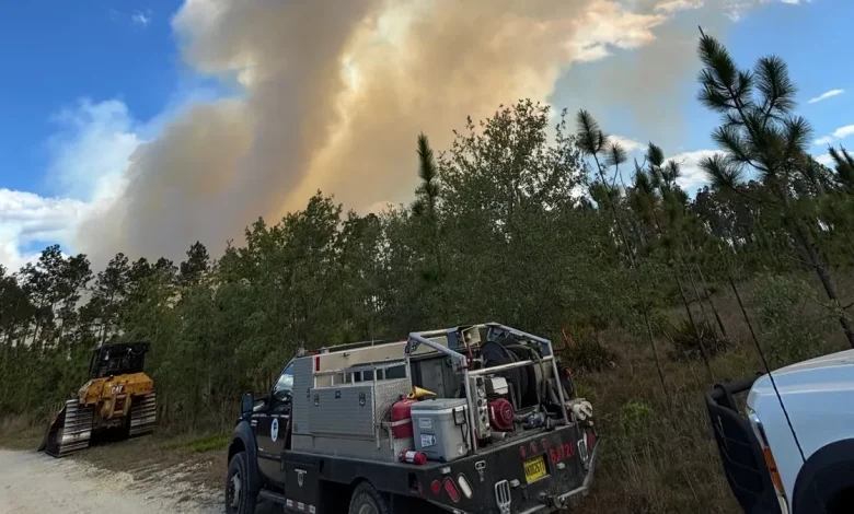 Forest Service, ACFR battling 100-acre wildfire south of Hawthorne