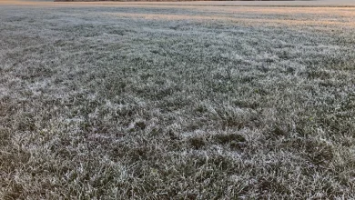 Frosty start to Sunday for Flying Pig Marathon