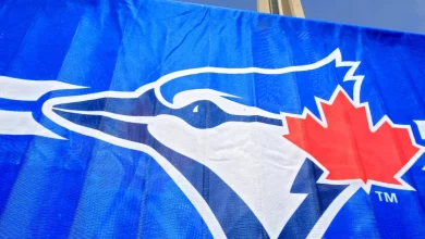 Game #43 GameThread: Rays @ Jays