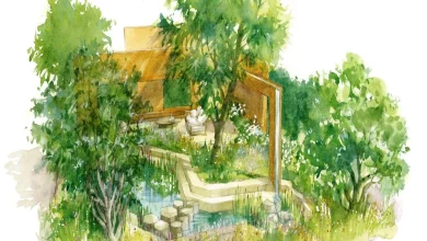 Garden inspired by Norfolk Broads displaying at Chelsea Flower Show