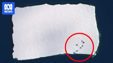 Giant iceberg with shipping containers spotted off Antarctica