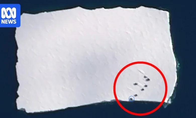 Giant iceberg with shipping containers spotted off Antarctica