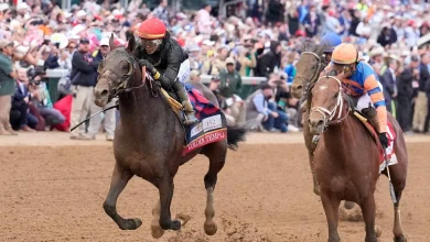 Golden Tempo’s Preakness Decision Proves the Triple Crown Is Failing Its Stars