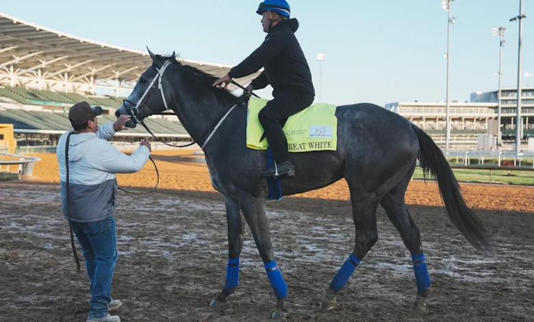 Great White scratched from Kentucky Derby after bucking rider, flipping