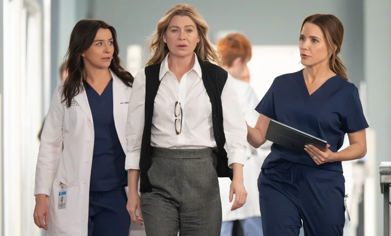 Grey's Anatomy Season 22 Finale Ending Explained: Amelia & Cass Hook Up