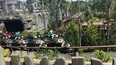 Hagrid’s Magical Creatures Motorbike Adventure Will be Discontinued for Universal Orlando's Express Pass