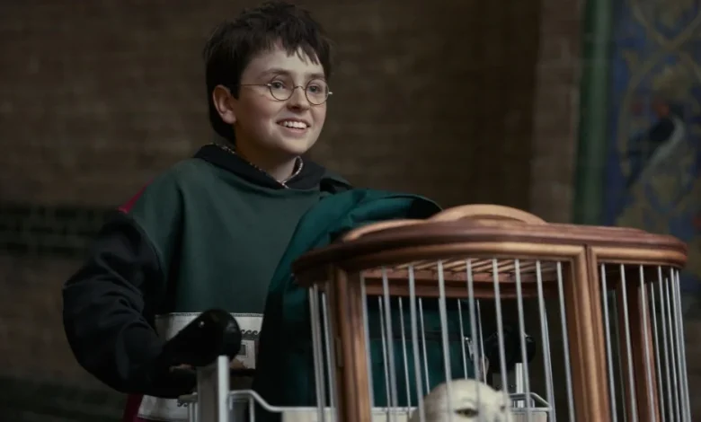 Harry Potter Renewed for Season 2; HBO's Chamber of Secrets Films This Fall