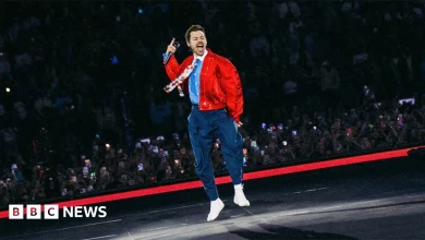 Harry Styles tour to review staging after fan complaints
