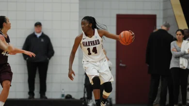 Harvard Alum Temi Fagbenle ’15 Embraces New Chapter with the WNBA’s Toronto Tempo