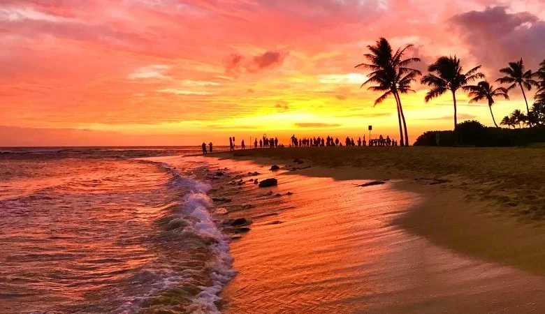 Hawaii and Florida top list of best US beaches for 2026, according to ‘Dr. Beach’