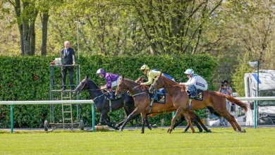 Haydock's two-day weekend meeting cancelled after failed inspection