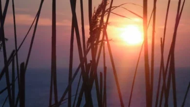 Heat Wave Continues to Grip Morocco With Temperatures Up to 44°C