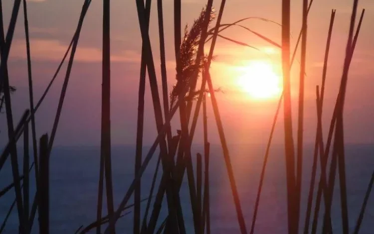 Heat Wave Continues to Grip Morocco With Temperatures Up to 44°C