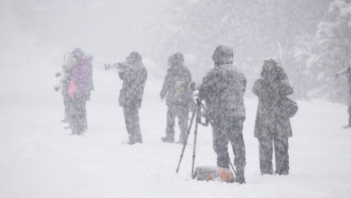 Heavy Snow Warning As 6 Inches To Hit Montana: ‘Hazardous Conditions’