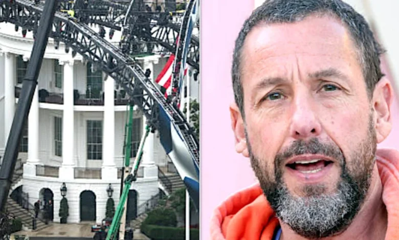 Here Are Celebrity Invitees To Donald Trump's UFC Event At The White House