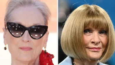 Here's The Real Reason Why Meryl Streep Isn't Attending The Met Gala - BuzzFeed