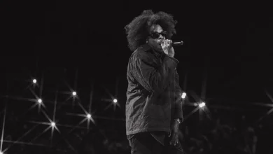 Here’s What Went Down at Jay-Z’s Headlining Roots Picnic Show