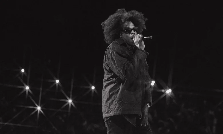 Here’s What Went Down at Jay-Z’s Headlining Roots Picnic Show